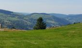 Trail Walking La Bresse - Lac de Lispach, la Roche des Bioquets, La Tête de Grouvelin - Photo 1