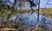 Tour Wandern Weismes - Balade de rêve 17 - Du lac aux sources de Quareu - Photo 2