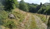 Tocht Mountainbike Le Falgoux - Le Falgoux - Pas de Peyrol - Photo 9