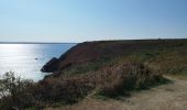 Tour Wandern Crozon - La randonnée du cap de la Chèvre  - Photo 11