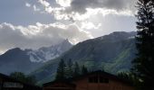 Tocht Stappen Chamonix-Mont-Blanc - les tiens par Les Praz de Chamonix et Les bois - Photo 2