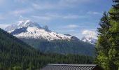 Excursión Senderismo Chamonix-Mont-Blanc - Montroc à Vallorcine  - Photo 13