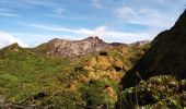 Trail Walking Saint-Claude - La Soufrière - Photo 11