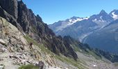 Randonnée Marche Chamonix-Mont-Blanc - Les Lacs Noirs 10.7.22 - Photo 10