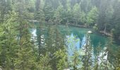 Tocht Stappen Passy - Plaine Joux, Barnus, le lac vert - Photo 1