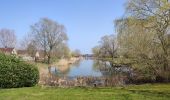 Tocht Stappen Emmen - Rondom de Grote Rietplas - Photo 10