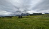 Trail Walking Kastelruth - Castelrotto - Alpe Di siusi - Photo 2