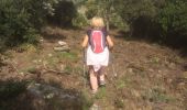 Tocht Stappen Le Lavandou - Tour du Haut Biscarre Biscarre - Photo 2