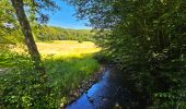 Tour Wandern Durbuy - Balade à Villers Sainte Gertrude - Photo 20