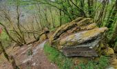 Tocht Stappen Bouillon - rando rochehaut 11 /05/2021 - Photo 5