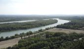 Randonnée Marche Villeneuve-lès-Avignon - PF-Villeneuve-les-Avignon - Du chemin des Castors au chemin de Safrus - Photo 2