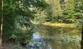 Tour Wandern Oud-Heverlee - Vaalbeek - Forêt de Meerdal - Photo 2