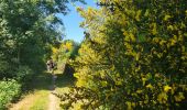 Excursión Senderismo Glomel - Tour de l'etang du Corong depuis Mézouët - Photo 15