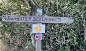 Tour Wandern Sournia - sournia arbre remarquable - Photo 5