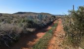 Excursión Senderismo Níjar - Los Albaricoques 1 - Photo 1