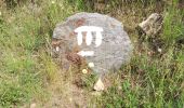 Trail Walking La Londe-les-Maures - Dolmen de Gaoutabry - Photo 1