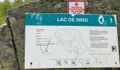 Trail Walking Albertacce - Castel du Vergio refuge de Mangani - Photo 6
