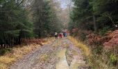 Tocht Stappen Stavelot - Francorchamps  - Photo 7