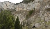 Tour Wandern Romeyer - Col des Bachassons depuis Romeyer - Photo 18