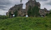 Excursión Senderismo La Tour-du-Meix - Le pont de la pyle - Photo 4