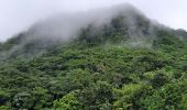 Tour Wandern Le Morne-Rouge - Le Morne-Rouge  -  Le  Carbet par Col Yang Ting - Photo 18