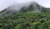 Excursión Senderismo Le Morne-Rouge - Le Morne-Rouge  -  Le  Carbet par Col Yang Ting - Photo 18