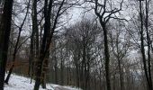 Randonnée Marche Yvoir - Durnal / 2021-01-17 / 29 km - Photo 11