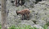 Randonnée Marche Belvédère - lac de la fous - Photo 3