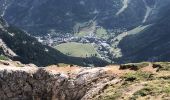 Randonnée Marche Pralognan-la-Vanoise - Trek 4 Jours -Etape 2/4 bis - Refuge du Roc de la Pêche- Refuge du saut - Photo 4