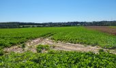 Tour Wandern Namen - Vedrin 100823 - Photo 15