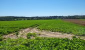 Tour Wandern Namen - Vedrin 100823 - Photo 15