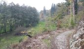 Trail Walking Ciney - Errance au domaine de Chevetogne  - Photo 3