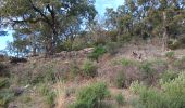 Trail Walking Roquebrune-sur-Argens - La Flûte  - Photo 4
