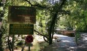 Tour Wandern Méounes-lès-Montrieux - les aiguilles de valbelle  - Photo 1