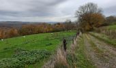 Randonnée Marche Aywaille - Martinrive  - Photo 1