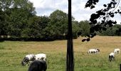 Tour Wandern Gesves - Sentiers d'Art Sorée -Gesves Menhir - Photo 16