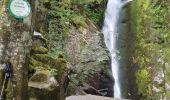 Randonnée Marche Plainfaing - Cascade du Rudlin - Photo 2