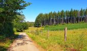 Randonnée Marche Bièvre - Balade à Bellefontaine - Bièvre - Photo 12