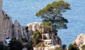 Tour Wandern Cassis - SityTrail - Les 3 Calanques - Cassis - Photo 16