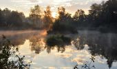 Randonnée A pied Pfäffikon - Pfäffikon - Effretikon - Photo 6