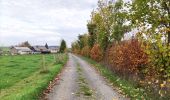 Trail Walking Tenneville - Boucle agricole - Le circuit de la ferme des Frênes  - Photo 13