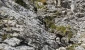Trail Walking Colmars - clignon encombrette - Photo 7