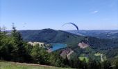 Excursión Senderismo Stavelot - Promenade du point de vue de Ster  - Photo 7