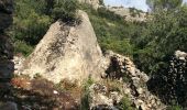 Randonnée Marche Lamanon - PF-Lamanon - Le Mur aux Abeilles - Photo 6