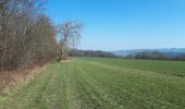 Tour Wandern Hamoir - HAMOIR (Vallée du Neblon) - Photo 8