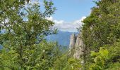 Trail Walking Chamaloc - RA Rocher de Chironne - Photo 7