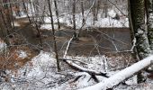 Tour Wandern Martelingen - Pont d'Oye - Photo 6