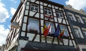 Trail On foot Stavelot - 3. Promenade de la Passerelle - Photo 2