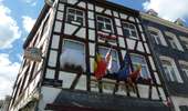 Trail On foot Stavelot - 5. Promenade de la Croix-Collin - Photo 2