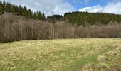 Tour Wandern Monschau - Rando Eifel des jonquilles narcisses 18,3 - Photo 2
